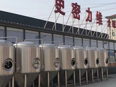 乳山精酿啤酒设备厂—如何判断精酿啤酒设备的密封件需要更换？